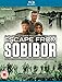 Escape from Sobibor [Blu-ray]