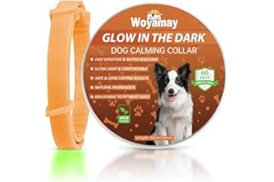 WOYAMAY Collare Calmante Per Cani Fluorescente Impermeabile - Calmanti Per Cani Con Feromoni Per Una Notte Sicura E Tranquilla, colore arancione
