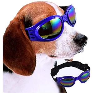 Pets Empire Dog Sunglasses Blue Ride Pets Decoration Dogs Plastic Glasses Party Supplies -1 Piece Color May Vary