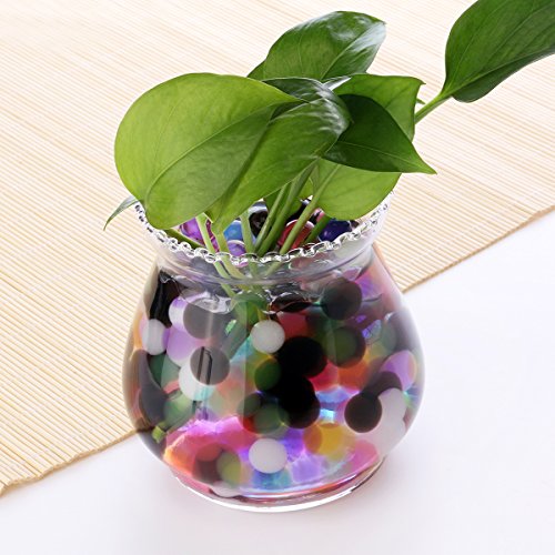 Wasserperlen Gelperlen Aquaperlen Deko Aqualinos Hydroperlen Für Die Bewässerung Der Pflanzen 2000pcs(Zufällige Farbe) - 6