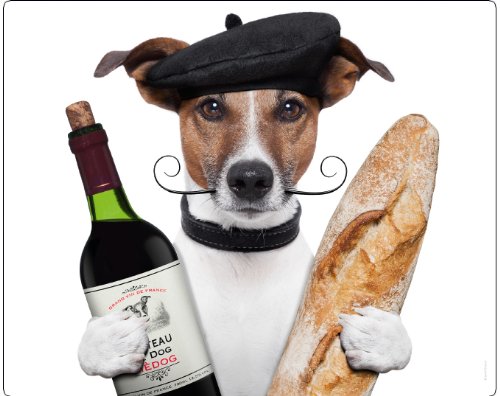 Tiere-Mousepad / Frankreich-Mauspad MOTIV 13 - JACK RUSSELL TERRIER: "CHICO - DER FRANZOSE"