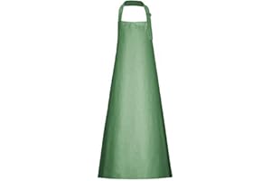 ARBEITSBEDARF24 Caoutchouc Tablier PVC plavitex professionnelle 120 X120 Cm, les Bouchers Tablier Tablier, vert