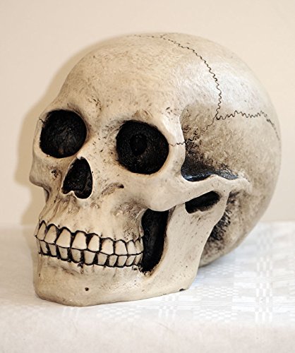 eindrucksvolle XXL Spardose Schädel Skull Totenkopf - 6