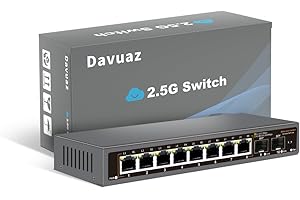 Davuaz-2.5G (Da-K10802WS) Commutateur Ethernet 2.5G Non administré avec 8 Ports 2.5G Base-T et 2 Ports 10G SFP+, Compatible avec 100/1000/2500Mbps, Plug & Play, commutateur réseau 2.5Gb en métal