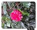 Produktbild Poncho Joba Mouse Pad, Mousepad (Flowers Mouse Pad)