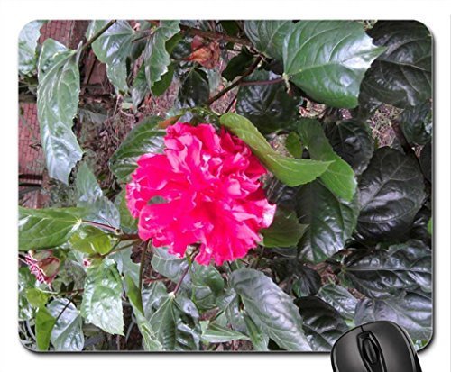Preisvergleich Produktbild Poncho Joba Mouse Pad, Mousepad (Flowers Mouse Pad)