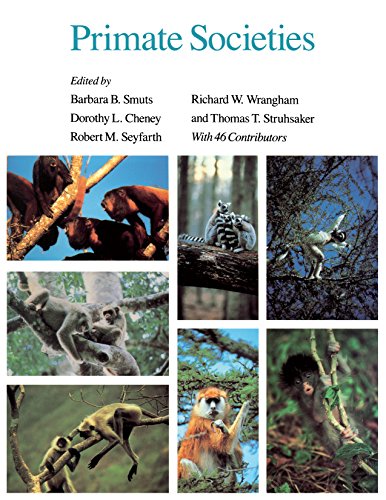Primate Societies (English Edition)