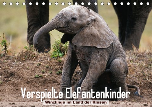 Verspielte Elefantenkinder - Winzlinge im Land der Riesen (Tischkalender 2015 DIN A5 quer): Afrikanische Elefantenbabys spielen im Schutz Ihrer Herde (Tischkalender, 14 Seiten)