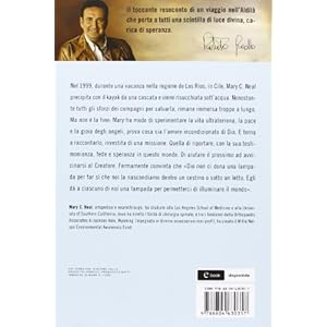 In paradiso e ritorno. La storia vera di un medico e della sua esperienza nell'Aldil