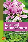 Image de Taschenatlas Beet- und Balkonpflanzen: 222 Sommerblumen, Kübelpflanzen und Schnittpflanzen
