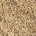 200g PLAIN CANARY SEED MIXED CAGE BIRD FOOD SLSD