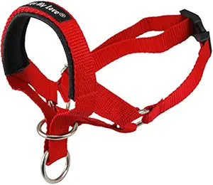 Dog Head Collar Halter Red 6 Sizes (L: 10.25