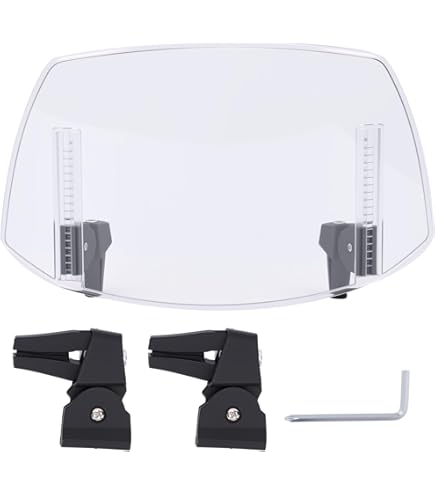 Speedo Angels Nano Glass Proteggi Schermo Per R1200 R