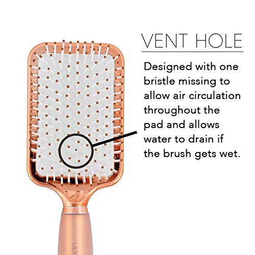 Rose Gold Haarbürsten Set. Enthält Fass-, Paddel- und Vent-Haarbürsten. Gut zum Richten, Styling und Detangling. Luxus, professionelle - 7