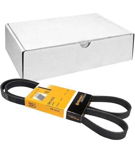 Febi Bilstein Cinghia Poly-V 38244 - Ricambi auto SMC