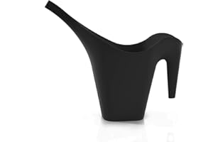 MINTRA HOME Mintra Arrosoir Plastique 2L Solide, Arrosoir Plante Intérieur, Arrosoir Extérieur Jardin, Arrosoir Bonsai, Durable, Patio, Balcon, Pelouse, sans BPA, 29.5X 34.5 x12 cm, (Noir)