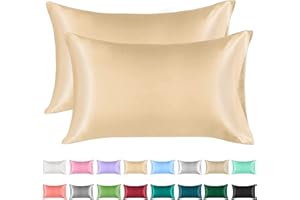 ‎LIREX Lirex Satin Kissenbezug, 2er Pack Weiche Volltonfarbe Mikrofaser Seide Kissenbezug, Umschlag Verschluss Knitterfrei Verblassen Beständig Atmungsaktiv (Champagne, 40 x 80 cm)