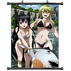 Akame ga Kill Anime Fabric Wall Scroll Poster (32x47) Inches