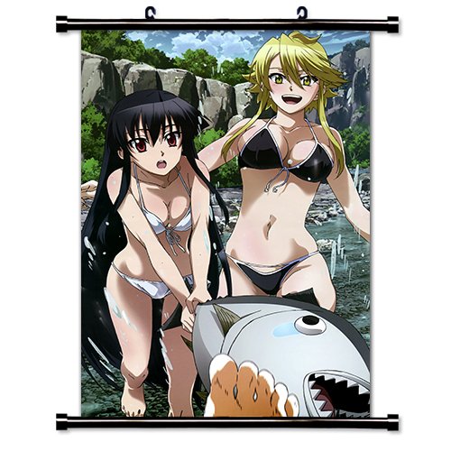 Akame ga Kill Anime Fabric Wall Scroll Poster (32x47) Inches