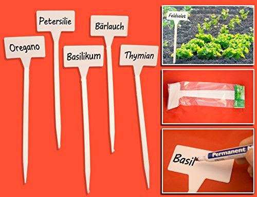 HOMETOOLS.EU – 5 Stück – Beet Pflanz Beschriftung Schilder Stecketiketten Pflanzenstecker Pflanzschilder 30cm hoch Kunststoff beschreibbar verwitterungsfest weiss - 2