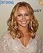 Produktbild Infinite Arts Hayden Panettiere (14inch x 17inch/35cm x 43cm) Silk Print Poster - Silk Printing - DD626F