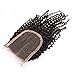 Sunwell Brazilian Virgin Lace Closure Human Hair Kinky Curly Middle Part 4x4" Remy Lace Top Closure with Baby Hair Can be Bleached 130% Density Natural Color 10"
