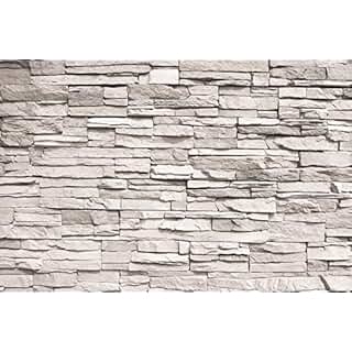 Suchergebnis auf Amazon.de für: steinwand: Baumarkt