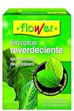 250gr Flower 15502 15502-Reverdeciente, 250 g, No No Aplica, 10.3x3.7x14.5 cm