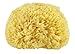 Premium Quality Natural Sea Sponge (Approx. Diameter 11cm)