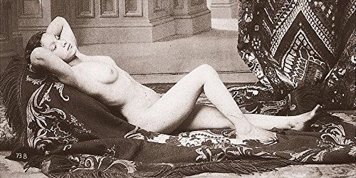 Livres Couvertures de 1000 NUDES