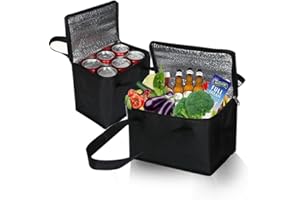 DQZSY 2 pack small Food Cooler Bag, 5L/7L thermal insulation picnic bag, Portable Delivery Bag with Zipper, Great Cooler Bag for Picnic, Travel, Food Delivery (Black)