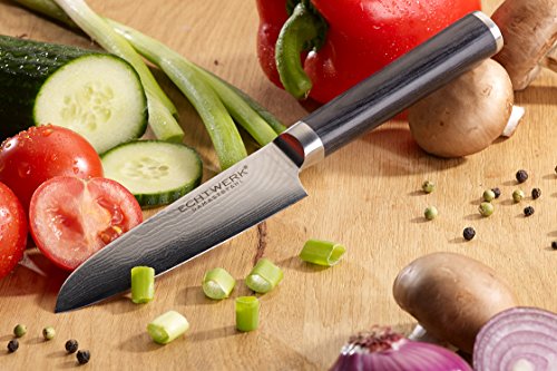 ECHTWERK EW-DM-0320 Damastmesser Küchenmesser Santokumesser 13 cm Klinge - 2