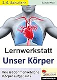 Lernwerkstatt Unser Körper: Wie ist der menschliche Körper aufgebaut? by