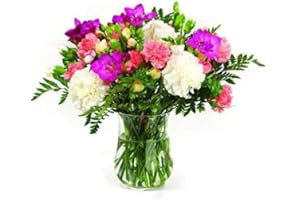 Sendabunch Pastel Spray Carnations and Freesia Mix Bouquets – 20 Fresh Stems with Free Chocolates & Gift Card – UK Flower Delivery for Mother’s Day, Valentine’s, Birthdays & Special Occasions