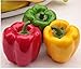 Produktbild 3 Künstliche BIG BELL rot grün Pfeffer Paprika Fake Kunststoff Gemüse Küche Schrank Decor, mix, chili