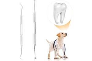KYLEWO Schecker Zahnsteinentferner Set, 2-teilig in Zahnarztqualität, Hunde Katzen und Haustiere Mini AUSFÜHRUNG die Zahnsteinentfernung