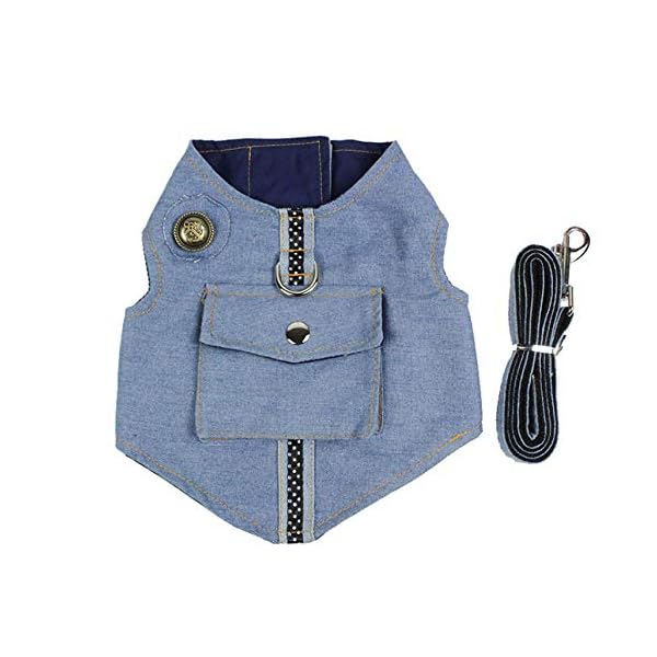 PTICA Imbracatura e guinzaglio per Cani da Compagnia Guinzaglio per Cani da Passeggio Guinzagli per addestramento al…