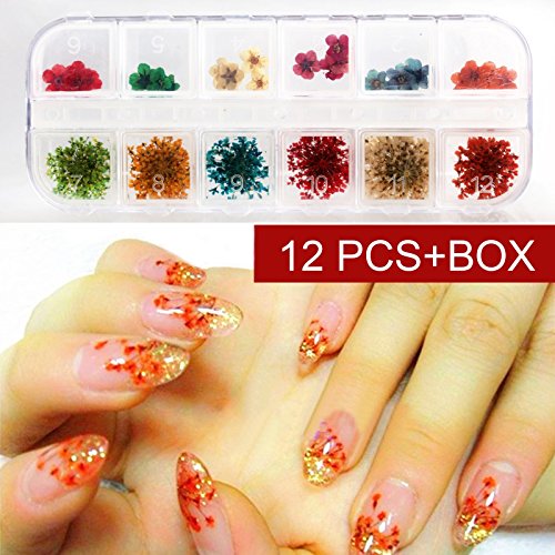 PerfectSummer 12 Colours 3D Dry Real Dried Flower Nail Art Tips DIY Decoration Kit Set