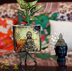 Decoright Buddha Metal Indoor Planter, Home Decorative Item