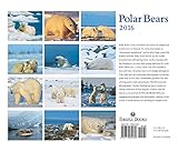 Image de Polar Bears 2016 Calendar