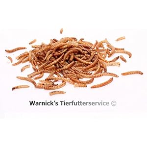 Mehlwürmer getrocknet 5.000ml