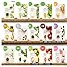 Innisfree It's Real Squeeze Mask Sheet x 15 sheets