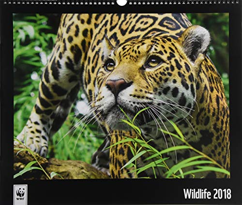 WWF Wildlife 2018: Jahreskalender