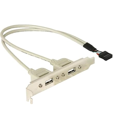 I00 USB Kabel Adapter 9-Pin Auf 2x USB Buchse – 30 Cm, USB 2.0, Für Mainboard-Erweiterung