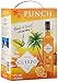 Produktbild CUERPO Punch Planteur Cocktail Bag-in-Box (1 x 3 l)