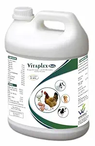 WISHWELL ENTERPRISES VITAPLEX Forte Vitamin B Liquid for Buffalo Cattle Horse Calf Sheep Goat Pig & Dogs -5 Litre