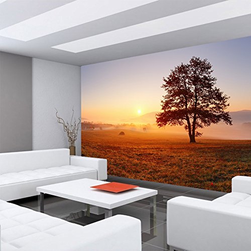 Vlies Fototapete 400×280 cm – Top ! PREMIUM PLUS Foto Tapete ! Wandbilder XXL Wandbild Bild Fototapeten Tapeten Wandtapete Wanddeko Wand Sonnenaufgang Baum Natur – no. 238 - 6