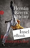 Cover zum Buch Der Traumkicker