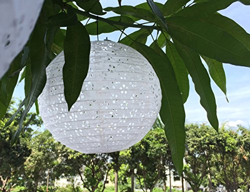 ONEDONE 5 Stücke 10″ Lampion Laterne Papier Weiß Gartenlampion Papierlaterne Hängedekoration Lampenschirm Deko Feste Geburtstag - 6