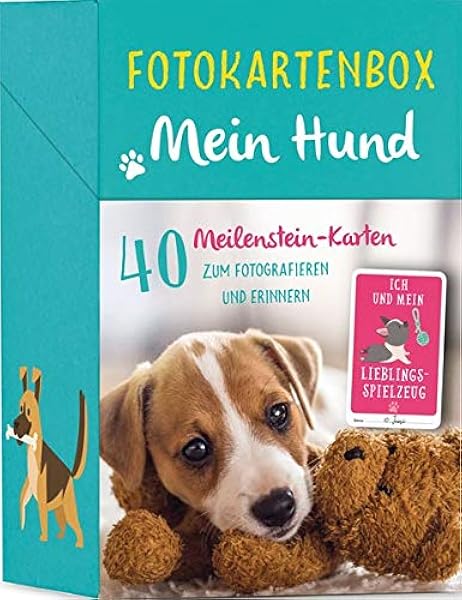 10 Yorkshire Terriers That Will Brighten Your Day Cute Dogs And